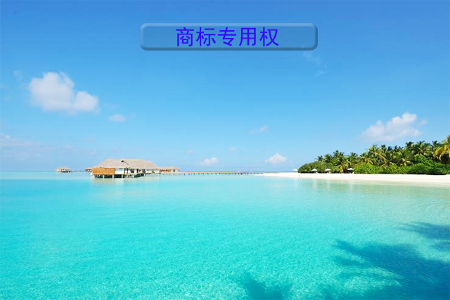 商標(biāo)專(zhuān)用權(quán)包括哪些內(nèi)容?