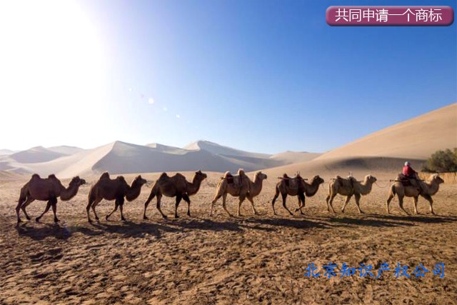 同一個(gè)商標(biāo)可以多人共同申請(qǐng)注冊(cè)嗎? 同一個(gè)商標(biāo)可以多人共同申請(qǐng)注冊(cè)嗎?