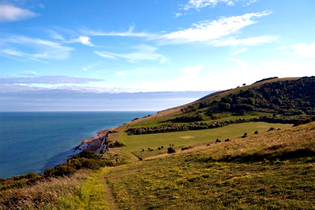 商標(biāo)注冊(cè)類別 商標(biāo)注冊(cè)類別