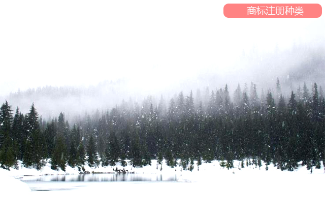 申請(qǐng)一個(gè)商標(biāo)注冊(cè)在多類上的注意事項(xiàng) 申請(qǐng)一個(gè)商標(biāo)注冊(cè)在多類上的注意事項(xiàng)