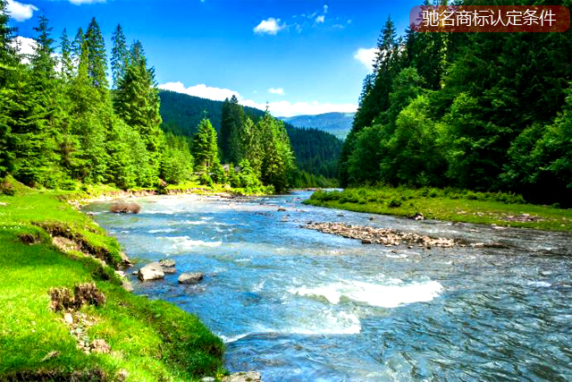 馳名商標(biāo)認(rèn)定的必要條件是什么? 馳名商標(biāo)認(rèn)定的必要條件是什么?