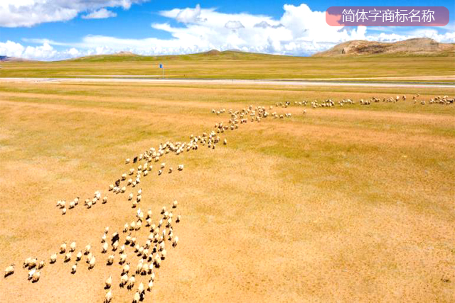 申請人用的簡體字商標(biāo)名稱 申請人用的簡體字商標(biāo)名稱