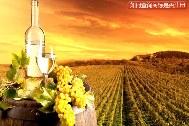 個體戶網(wǎng)上如何查詢商標(biāo)是否注冊 個體戶網(wǎng)上如何查詢商標(biāo)是否注冊