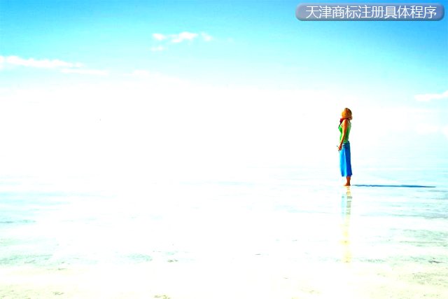 天津商標注冊的具體程序是什么